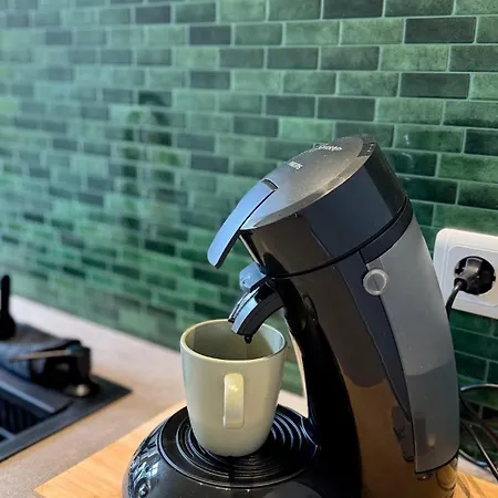 Nordic Zen Loft Mit Garten Appartement