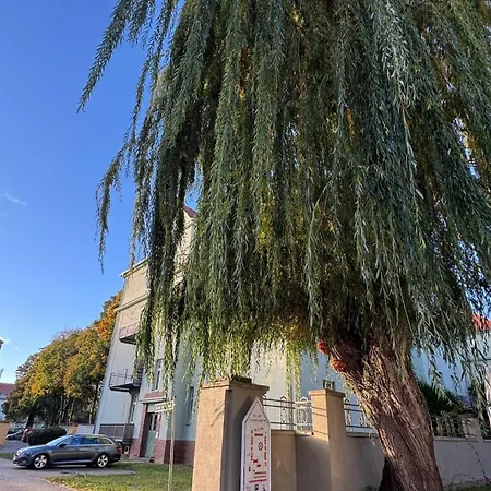 Nordic Zen Loft Mit Garten
