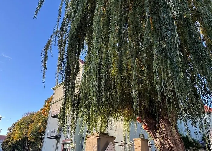 Nordic Zen Loft Mit Garten